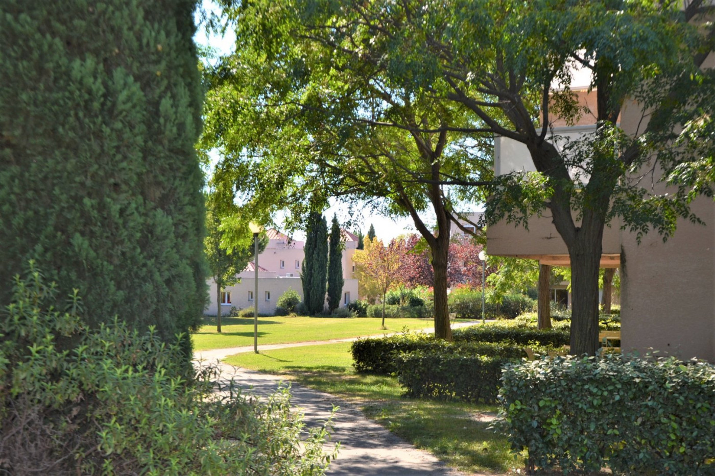 à vendre Appartement Baillargues - Photo 1