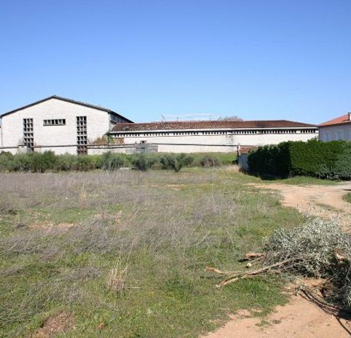 vente Terrain Saint Jean De Fos