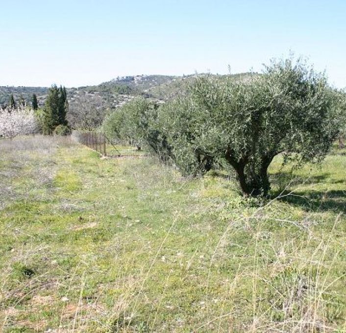 vente Terrain Saint Jean De Fos