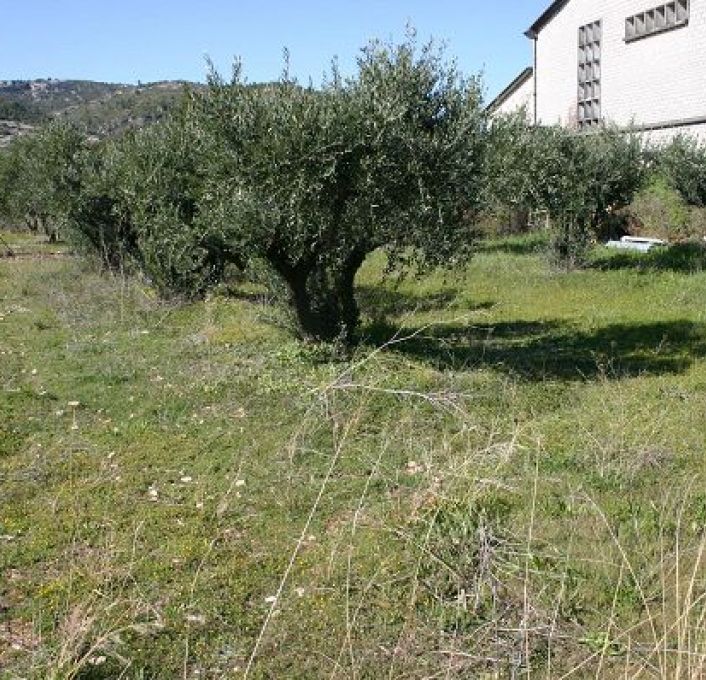 vente Terrain Saint Jean De Fos