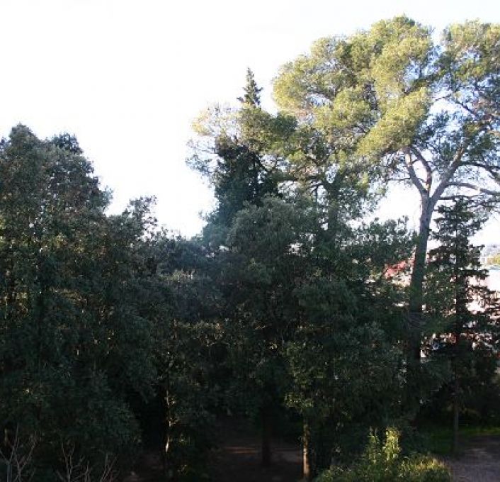 vente Appartement Montpellier