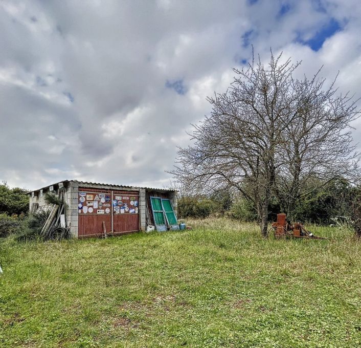 vente Terrain de loisir Vic La Gardiole