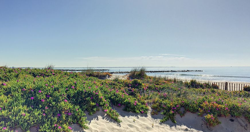 en location saisonnière Studio cabine Carnon