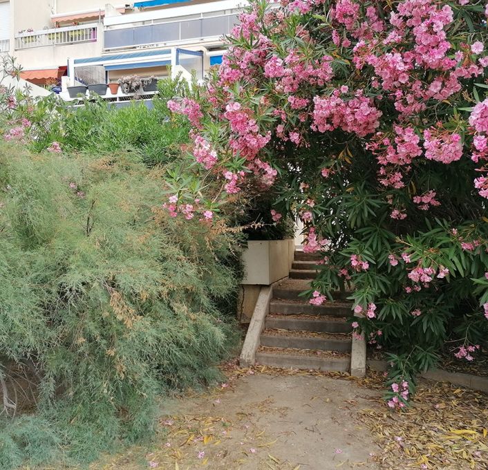 en location saisonnière Appartement Carnon