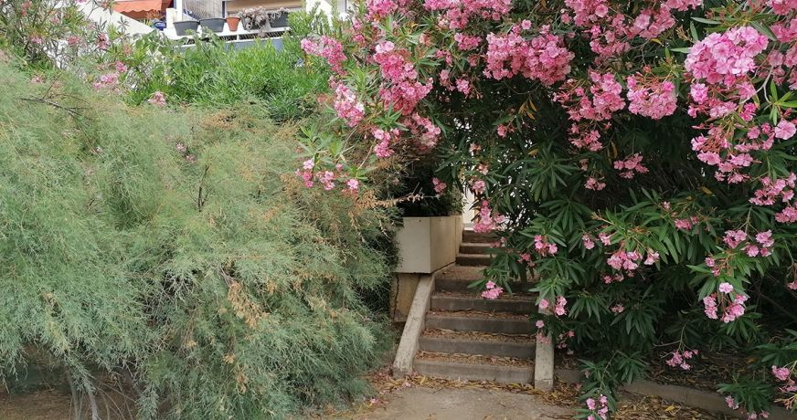 en location saisonnière Appartement Carnon