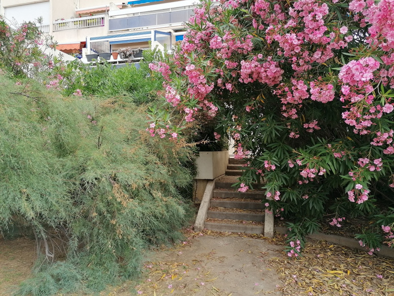 en location saisonnière Appartement Carnon - Photo 8