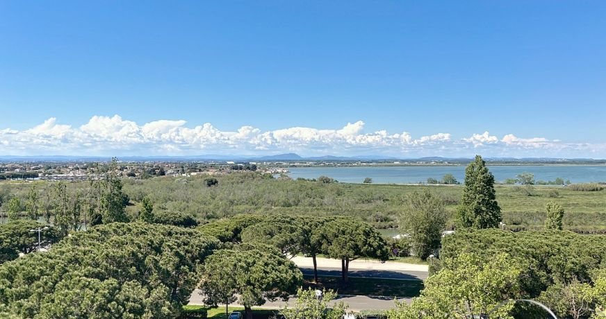 vente Appartement Carnon Plage (mauguio)