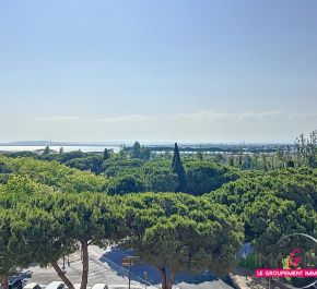 à vendre Carnon Plage (mauguio)