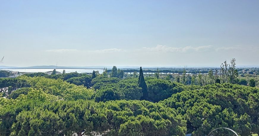 vente Appartement Carnon Plage (mauguio)