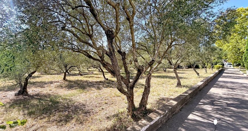 vente Appartement Montpellier