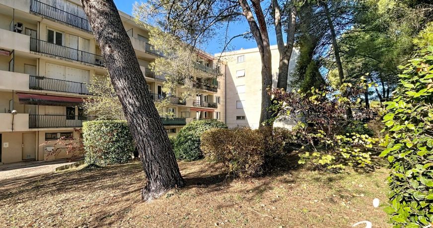 vente Appartement Castelnau Le Lez
