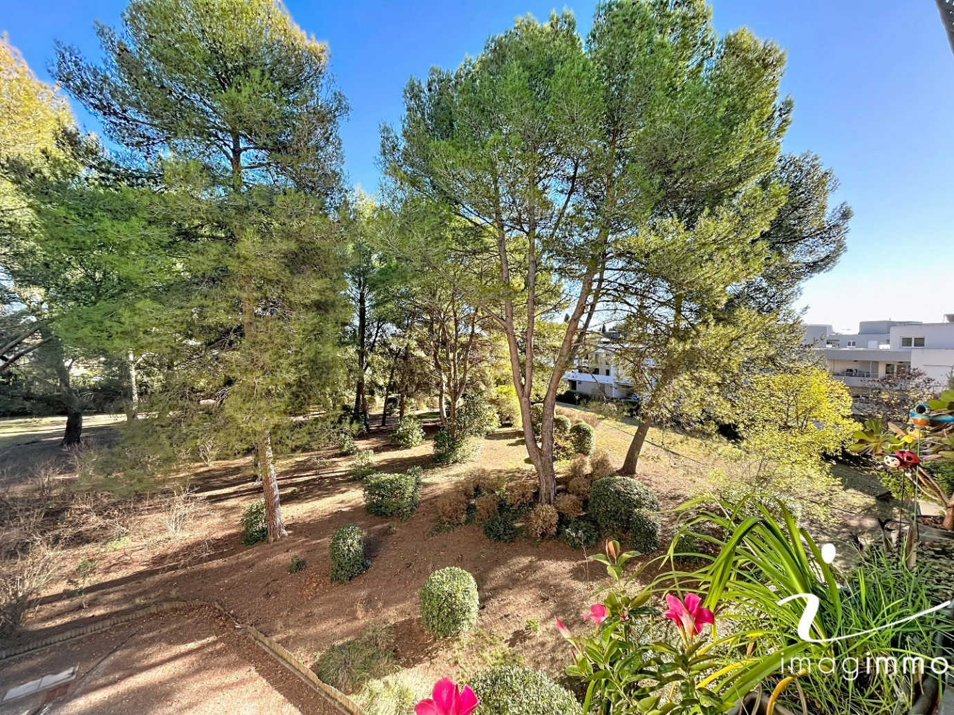 vente Appartement Castelnau Le Lez - Photo 1