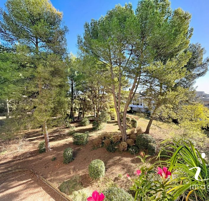 vente Appartement Castelnau Le Lez