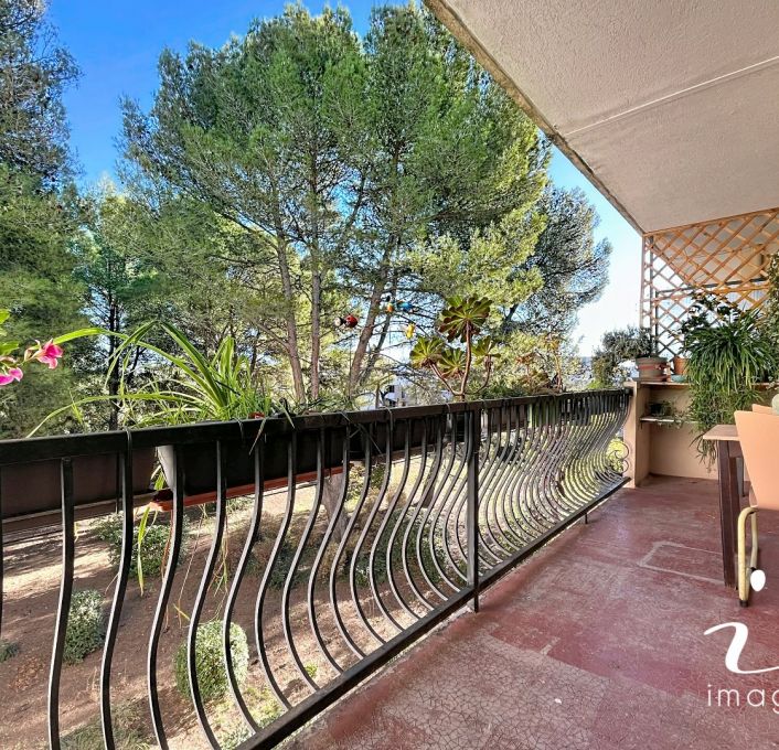 vente Appartement Castelnau Le Lez