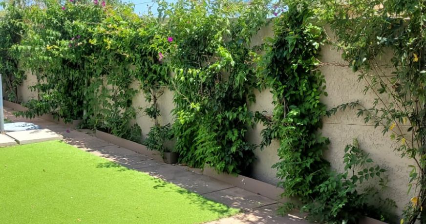 en location saisonnière Appartement Carnon