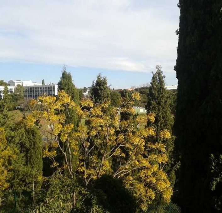 à vendre Appartement Montpellier