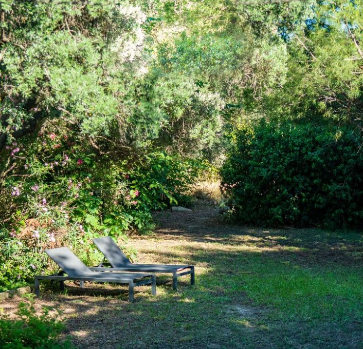 à vendre Maison Montpellier