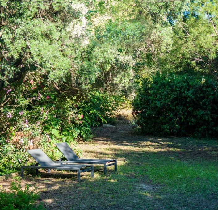 à vendre Maison Montpellier