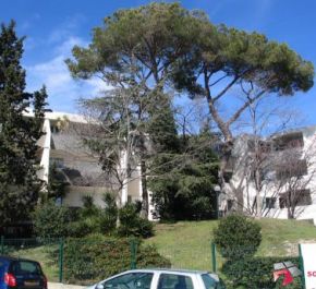 à louer Montpellier