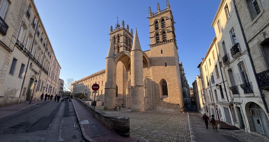 location Appartement Montpellier