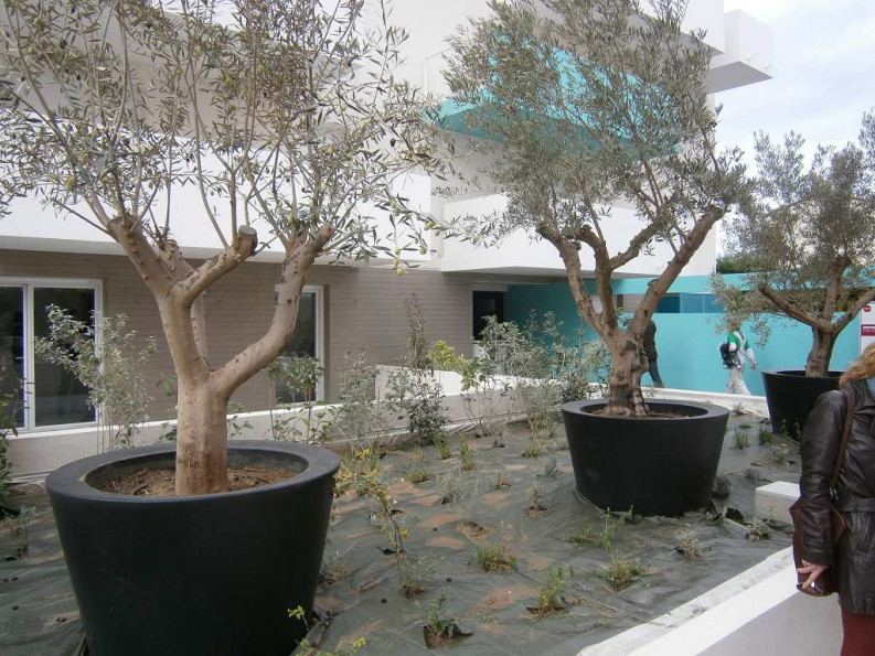 vente Appartement Montpellier - Photo 2