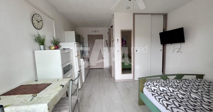 vente Appartement Balaruc Les Bains