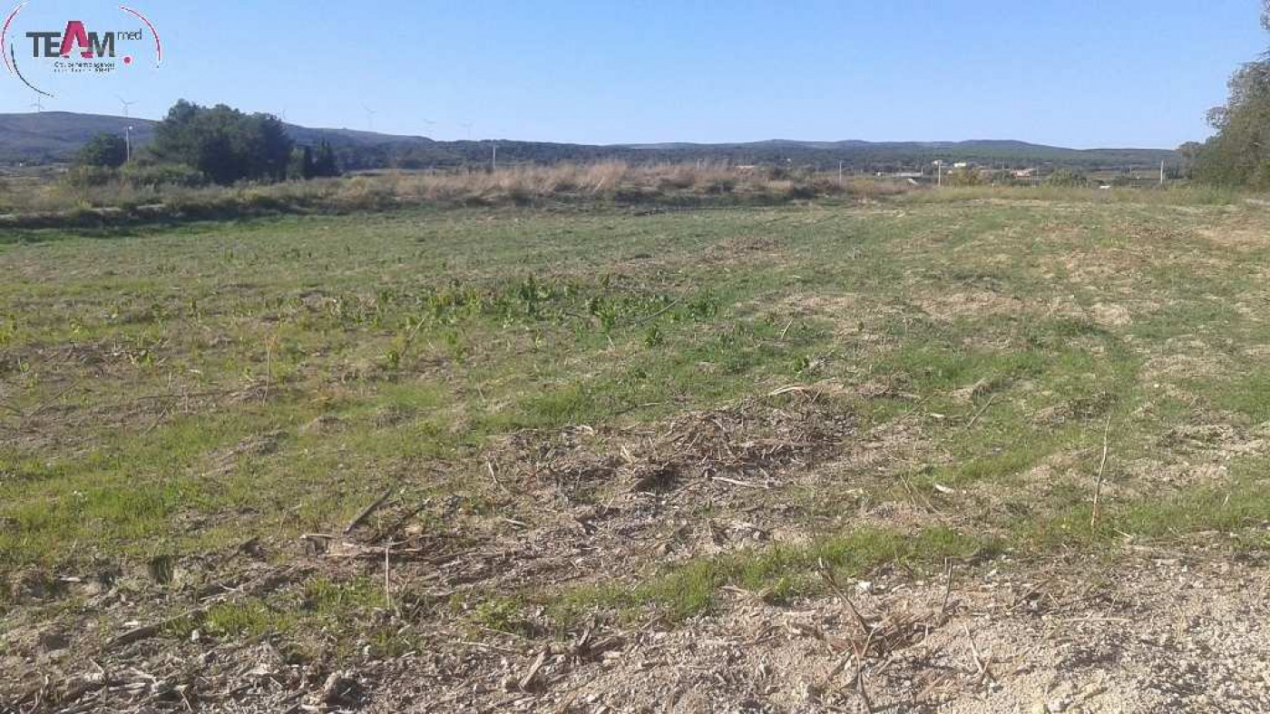 Vente Terrain Agricole Montbazin 1935m 16 500 Herault
