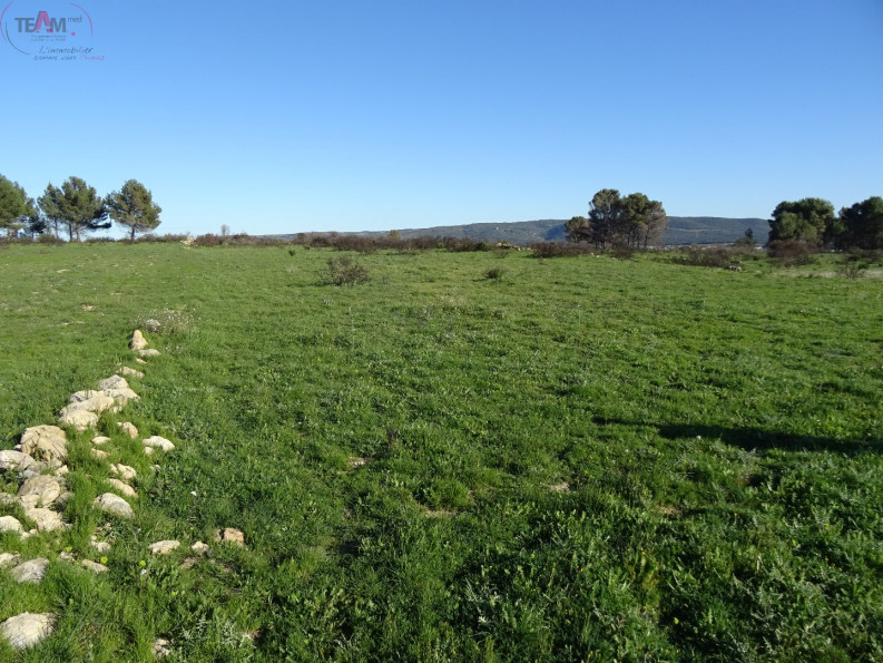 vente Terrain agricole Poussan - Photo 2
