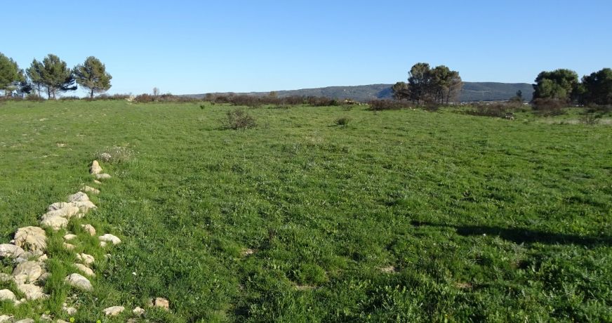 vente Terrain agricole Poussan