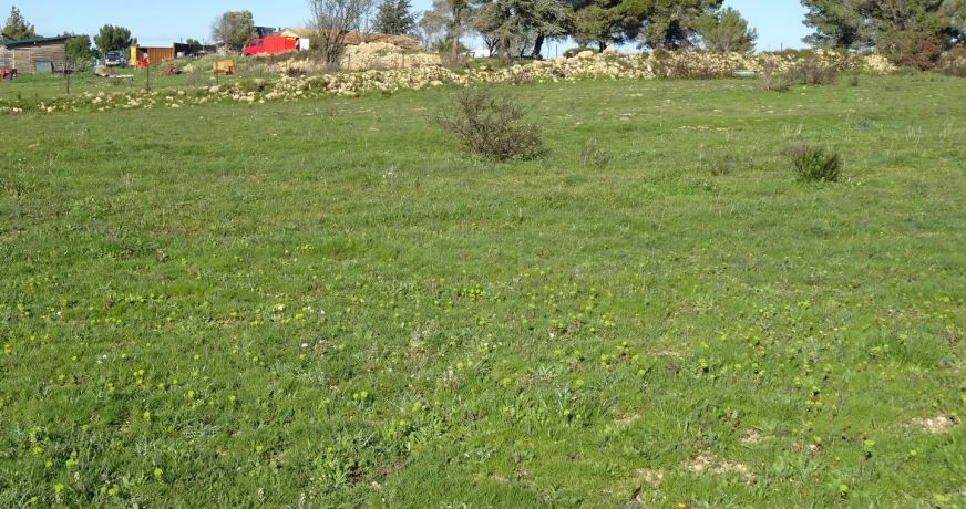 vente Terrain agricole Poussan