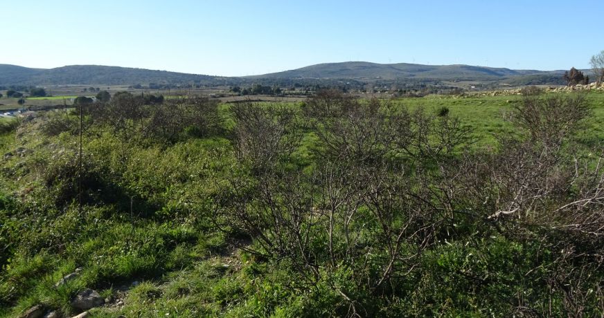 vente Terrain agricole Poussan
