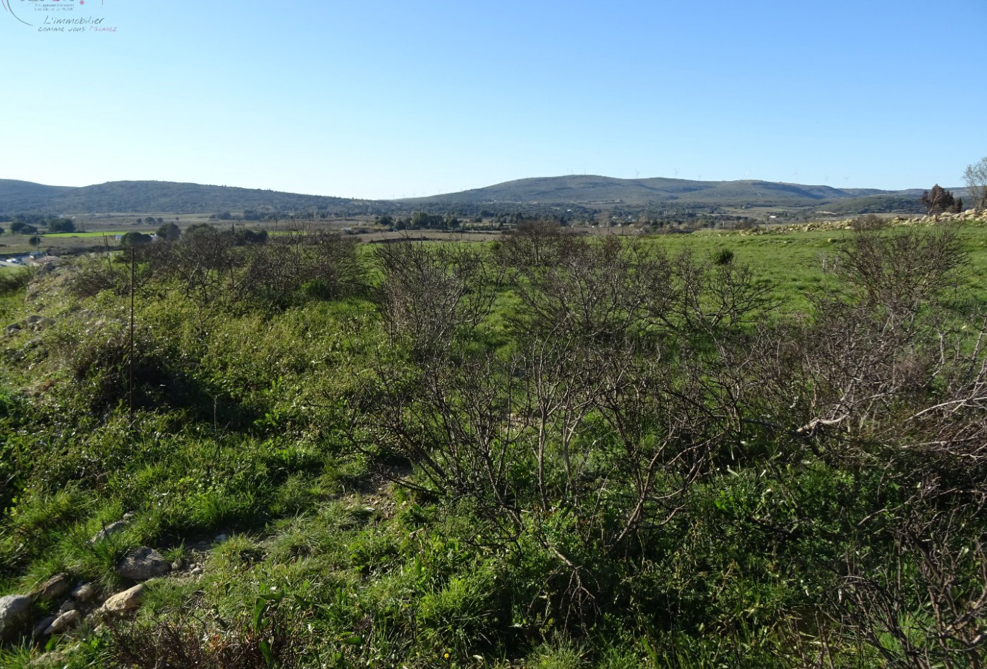 à vendre Terrain agricole Poussan - Photo 5