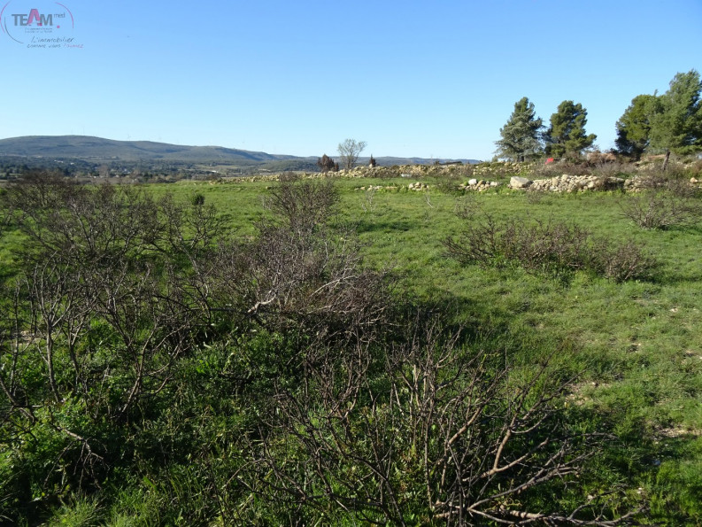 vente Terrain agricole Poussan - Photo 6
