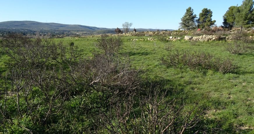 vente Terrain agricole Poussan
