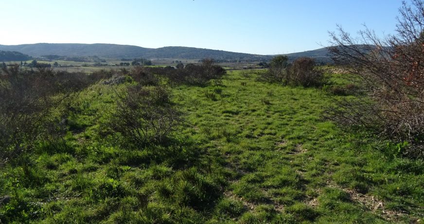 vente Terrain agricole Poussan