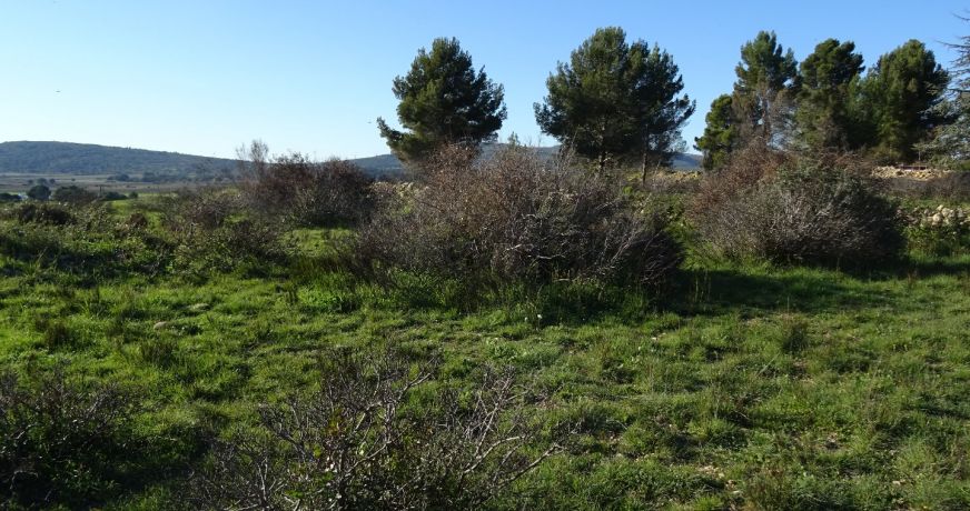 vente Terrain agricole Poussan