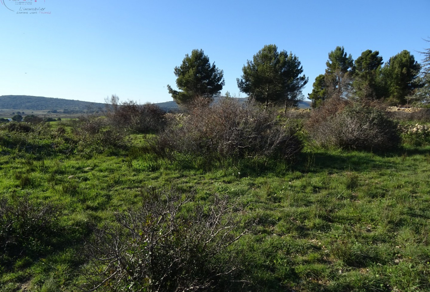 à vendre Terrain agricole Poussan - Photo 4