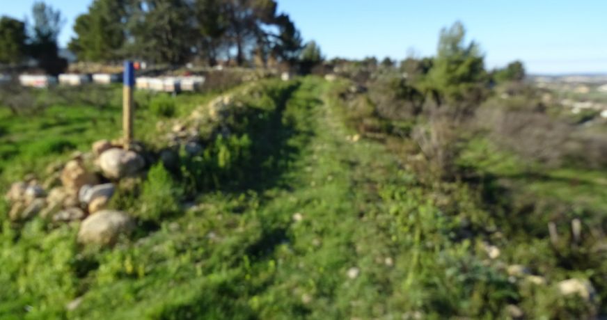 vente Terrain agricole Poussan