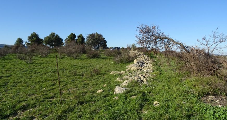 vente Terrain agricole Poussan