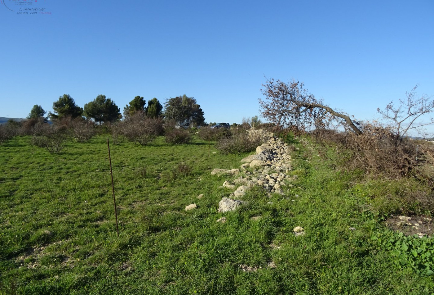 à vendre Terrain agricole Poussan - Photo 1