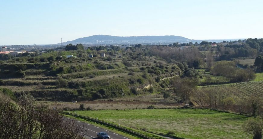 vente Terrain agricole Poussan