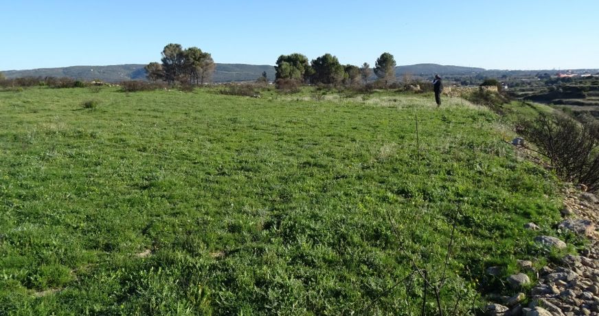 vente Terrain agricole Poussan