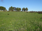 à vendre Terrain agricole Poussan