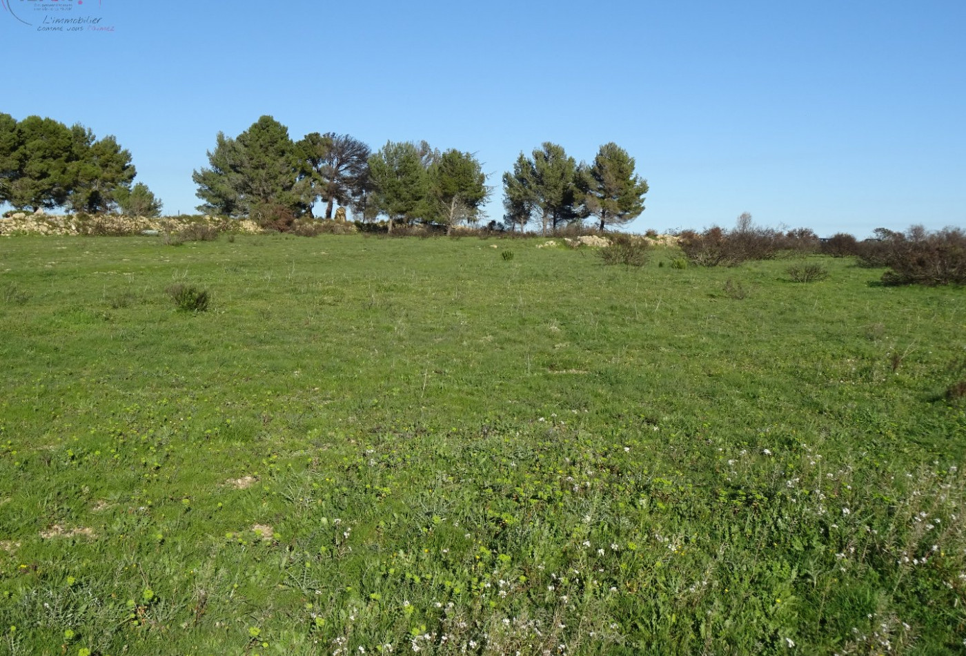 à vendre Terrain agricole Poussan - Photo 10