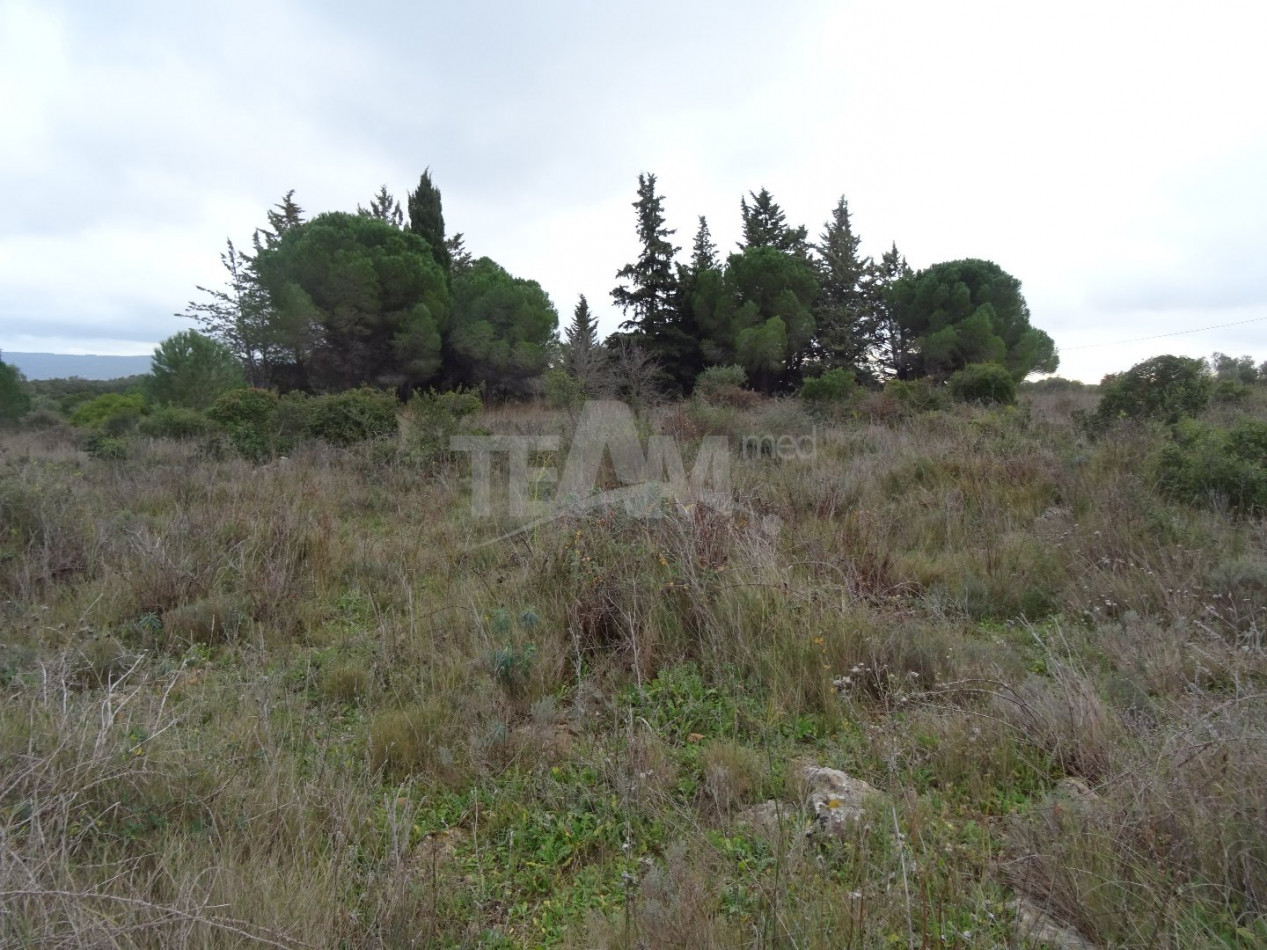 for sale Terrain agricole Montbazin