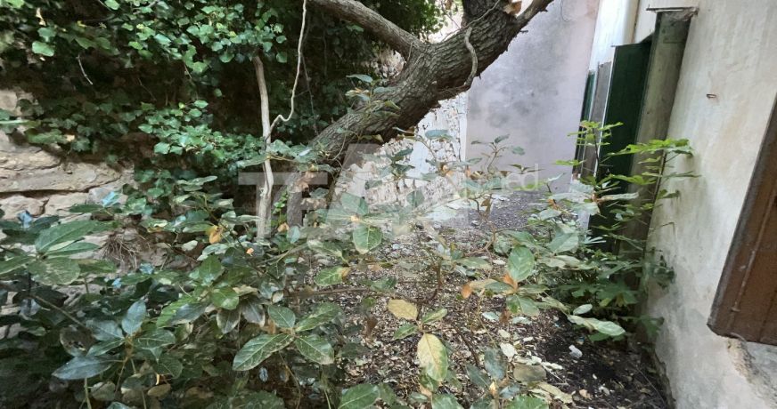 vente Maison vigneronne Villeveyrac