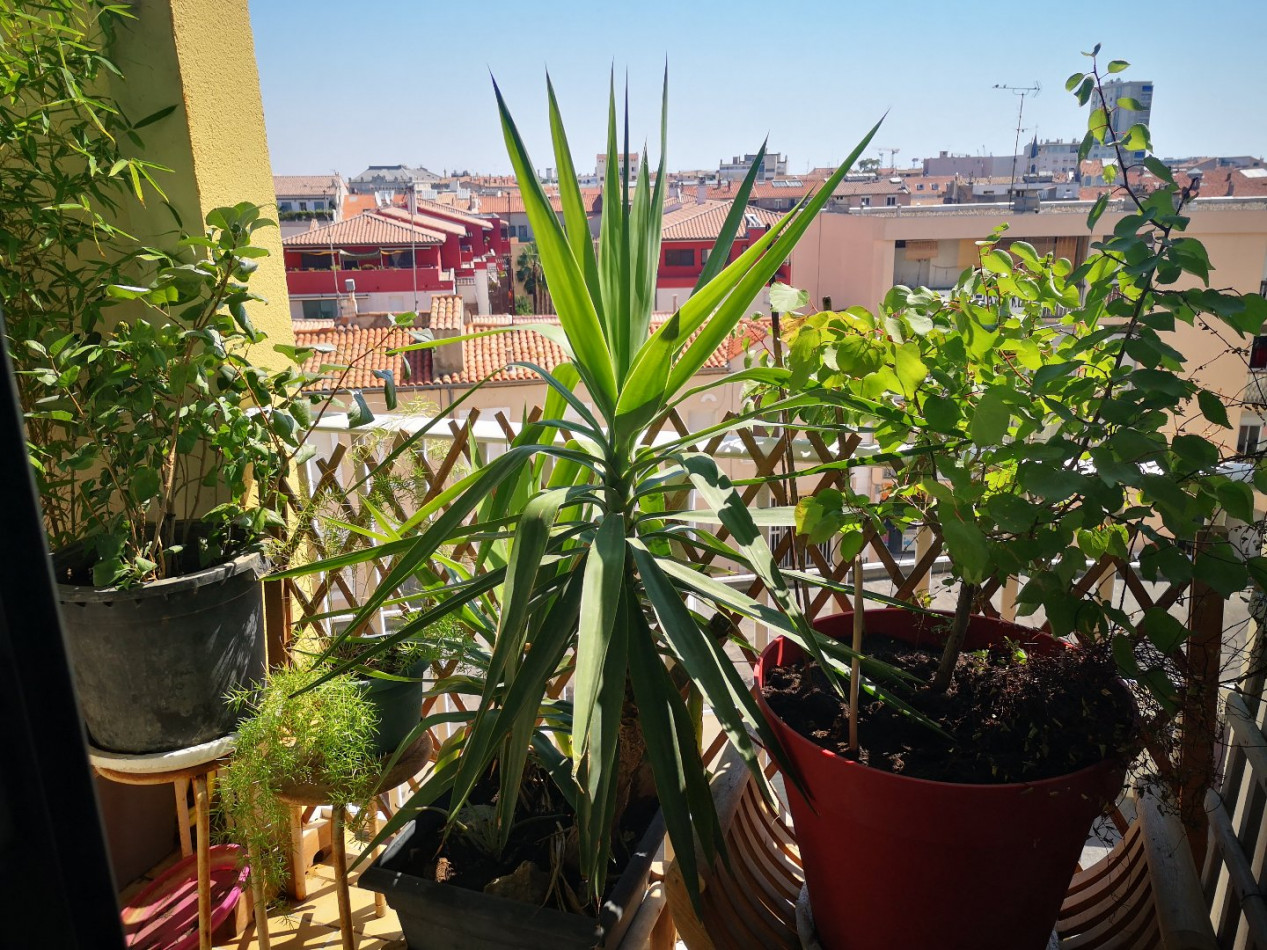 vente Appartement rénové Sete - Photo 2