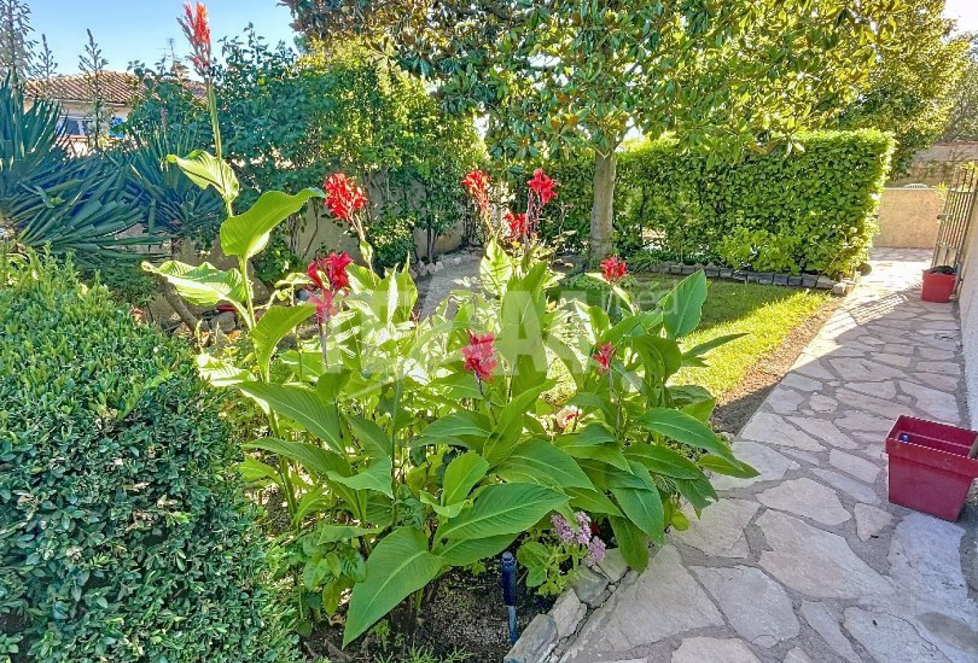 à vendre Villa Montbazin - Photo 3