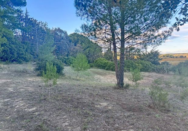 vente Maison Poussan