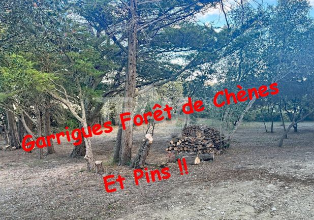 vente Maison Poussan